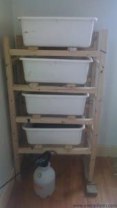 breeder bins