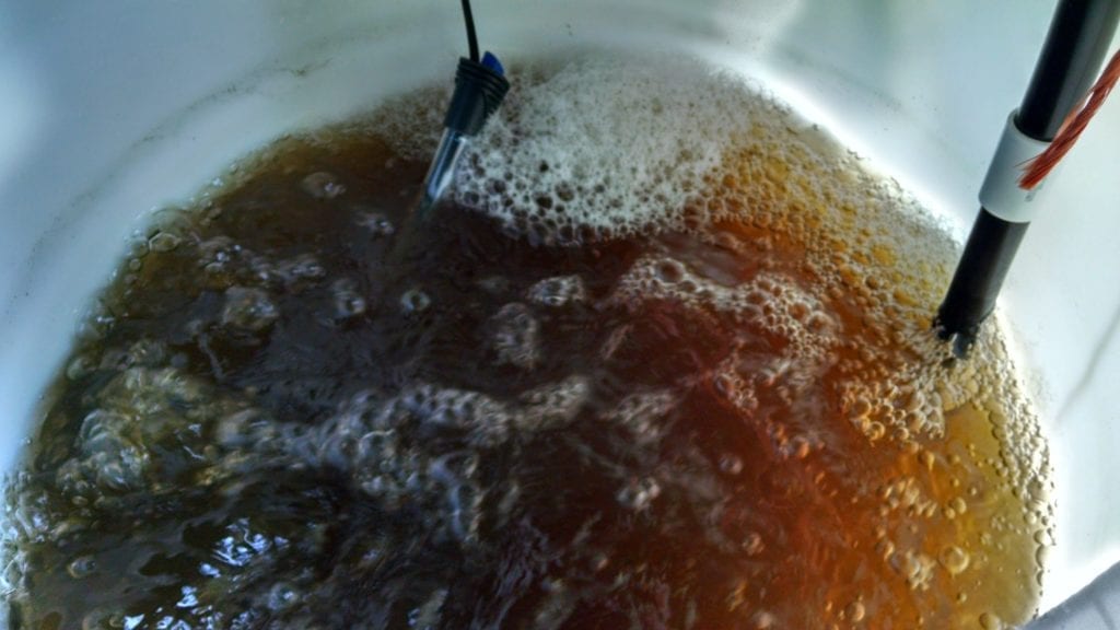 download worm casting tea download worm casting tea