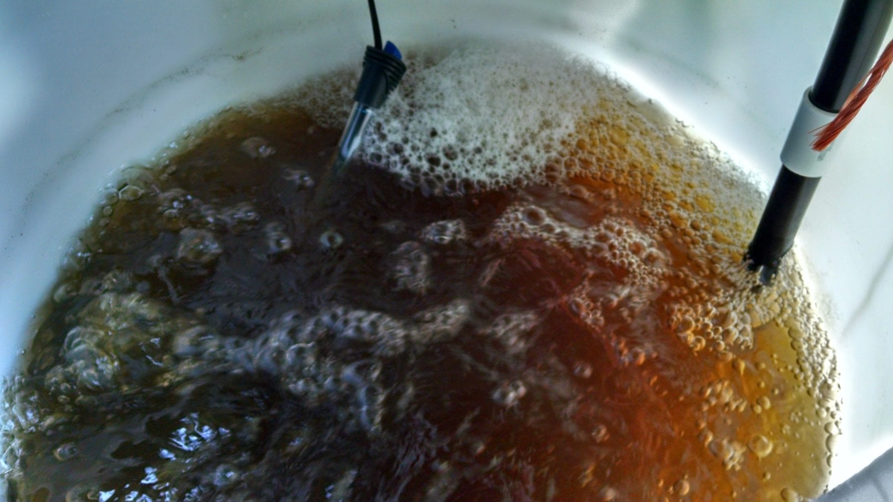 download worm casting tea download worm casting tea